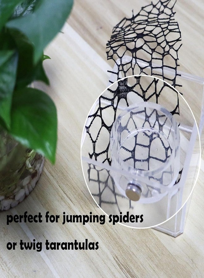 JILINWEI Small Jumping Spider Feeding Dish, Magnetic Tiny Food Dishes Water Dish for Jumping Spider, Tarantula and Other Small Pets,35mm, Clear - Image 3